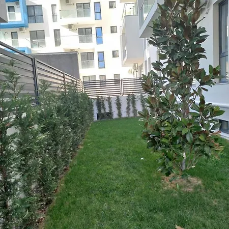 Summer Dream By Alezzi Mamaia Nord Navodari